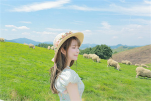 风能与太阳能：上海能源产业的未来